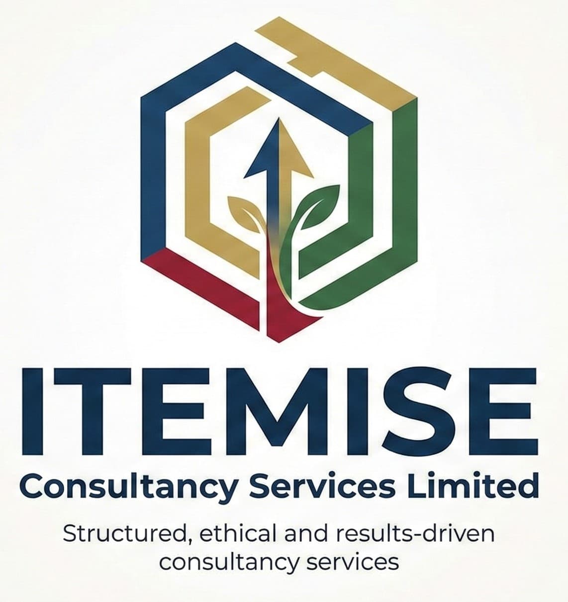 ITEMISE Consultancy